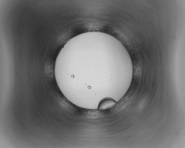 X0000111490666200908041143