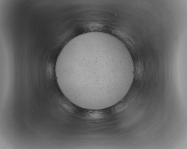 X0000111490667200908041143