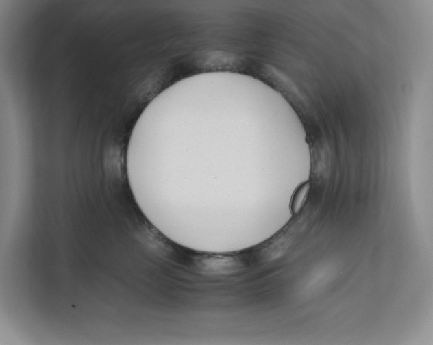 X0000111490669200908041143