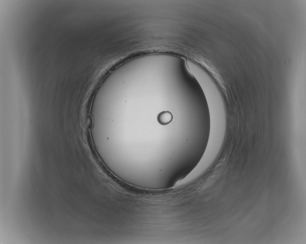 X0000111490673200908041143