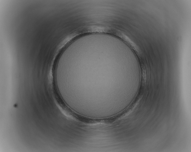 X0000111490674200908041143