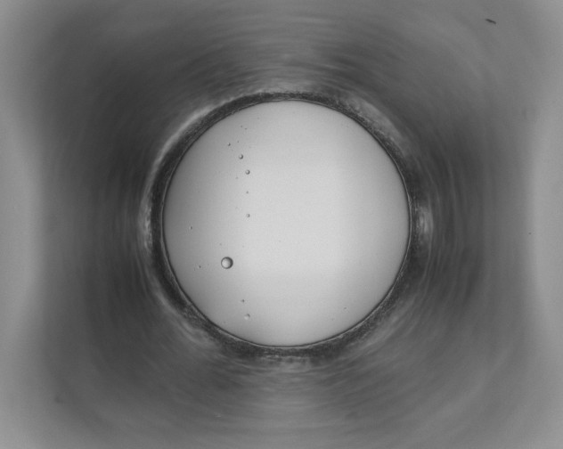 X0000111490676200908041143