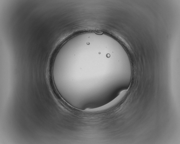 X0000111490677200908041143