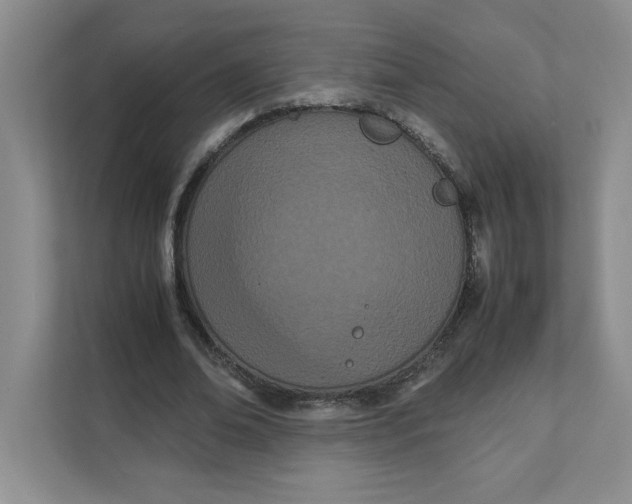 X0000111490678200908041143