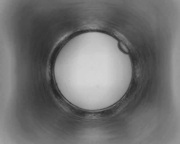 X0000111490680200908041142