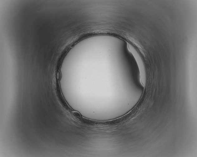 X0000111490681200908041142