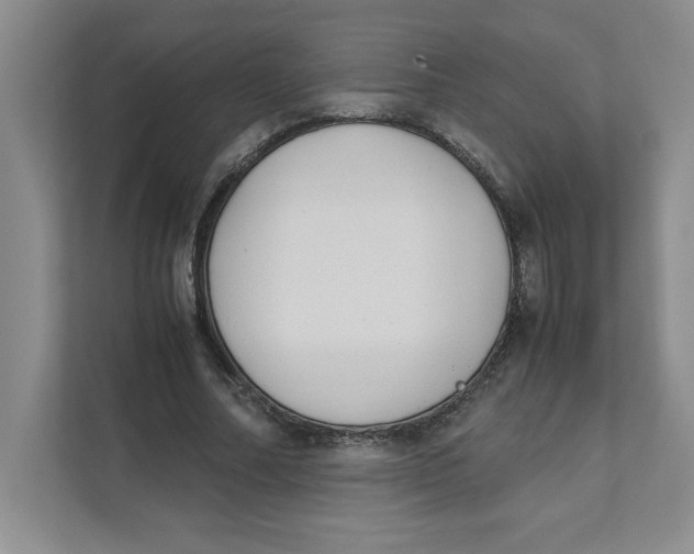 X0000111490682200908041142