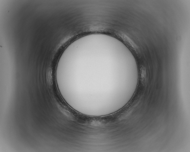 X0000111490684200908041142