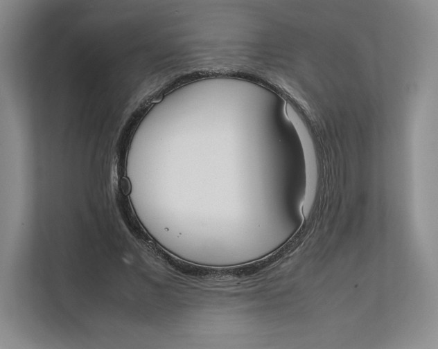 X0000111490685200908041142