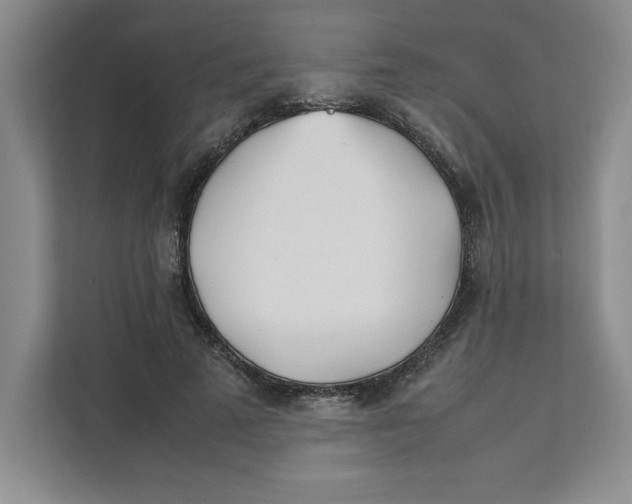 X0000111490689200908041142