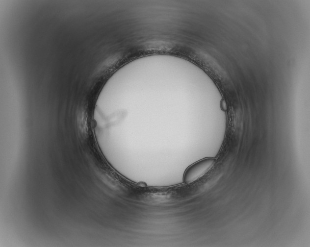 X0000111490692200908041142