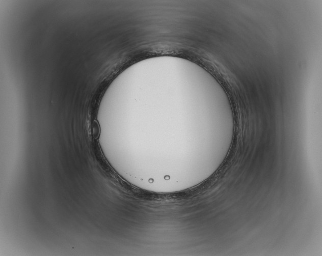 X0000111490696200908041142