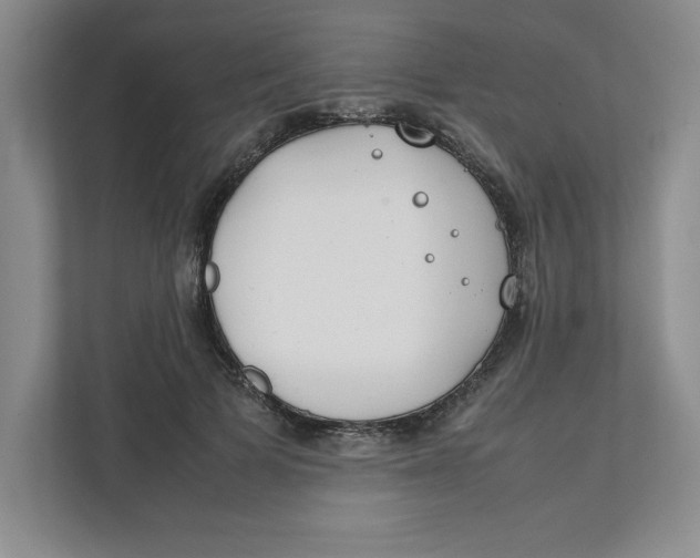 X0000111490697200908041142