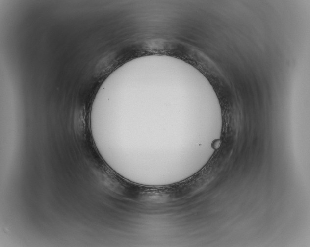 X0000111490702200908041142