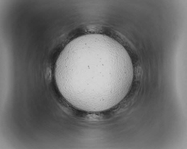 X0000111490703200908041142