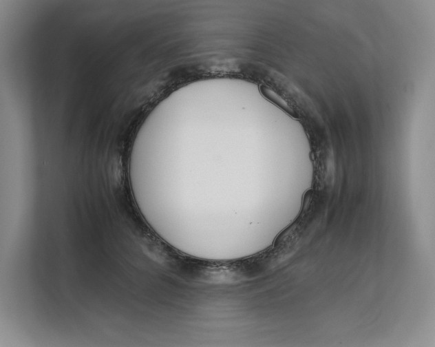 X0000111490704200908041142