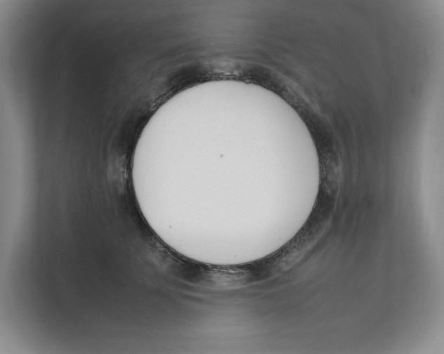 X0000111490707200908041142