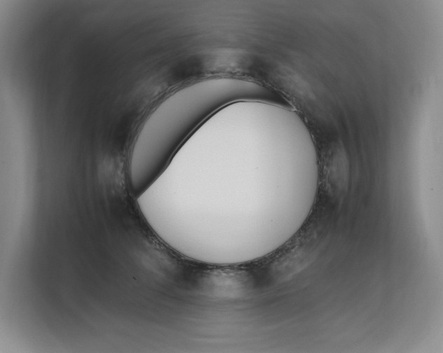 X0000111490708200908041142