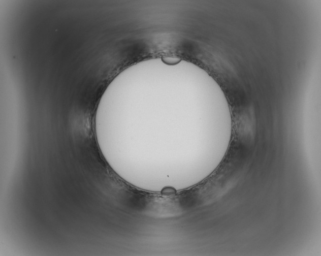 X0000111490709200908041142