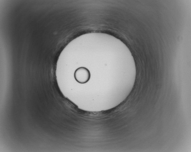 X0000111490720200908041142