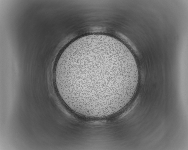 X0000111490721200908041141