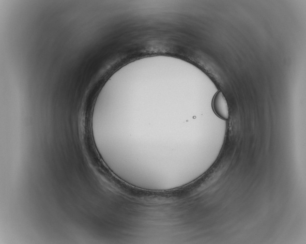 X0000111490722200908041141