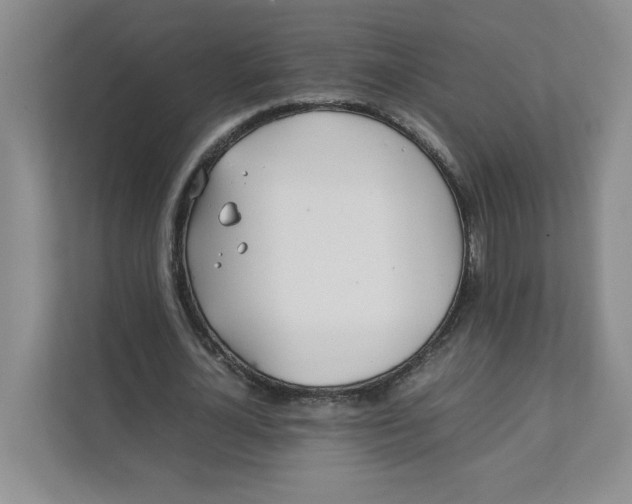 X0000111490724200908041141