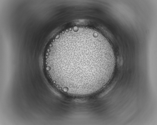 X0000111490725200908041141