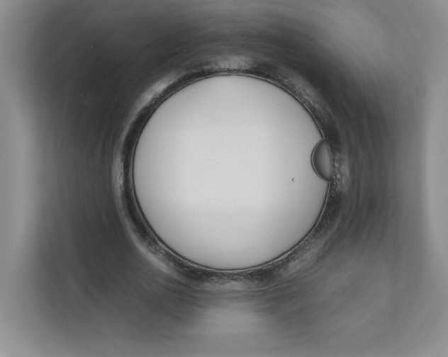 X0000111490726200908041141