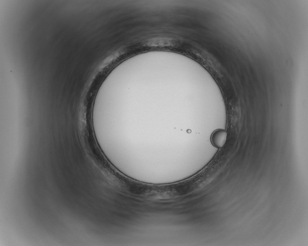 X0000111490727200908041141