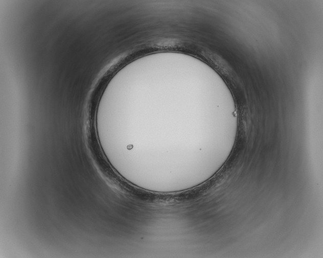 X0000111490728200908041141