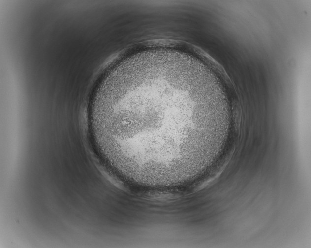 X0000111490729200908041141