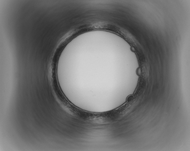X0000111490730200908041141