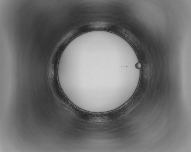 X0000111490731200908041141