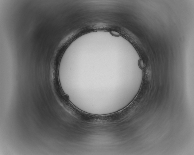 X0000111490732200908041141