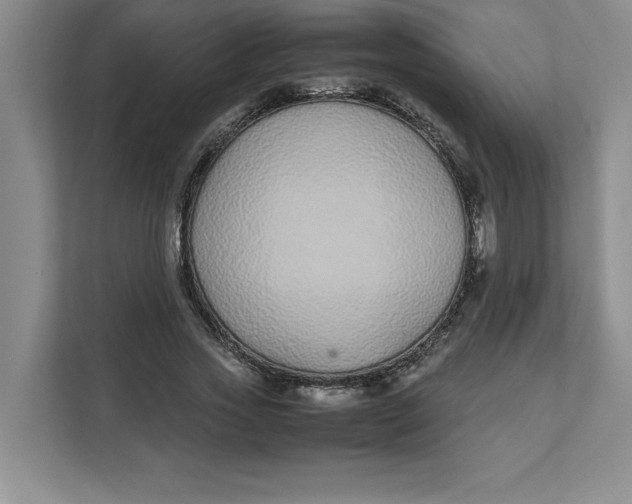 X0000111490733200908041141