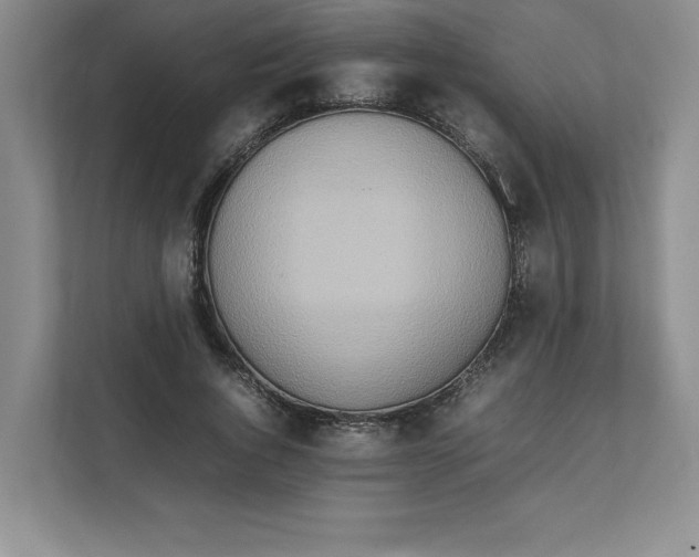 X0000111490736200908041142