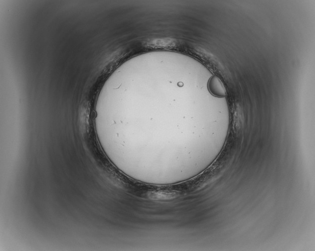 X0000111490739200908041142
