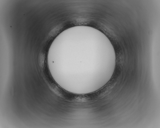 X0000111490742200908041142