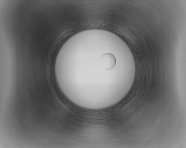 X0000111490744200908041142