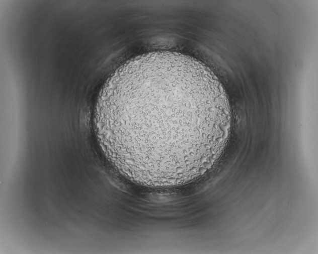 X0000111490745200908041142