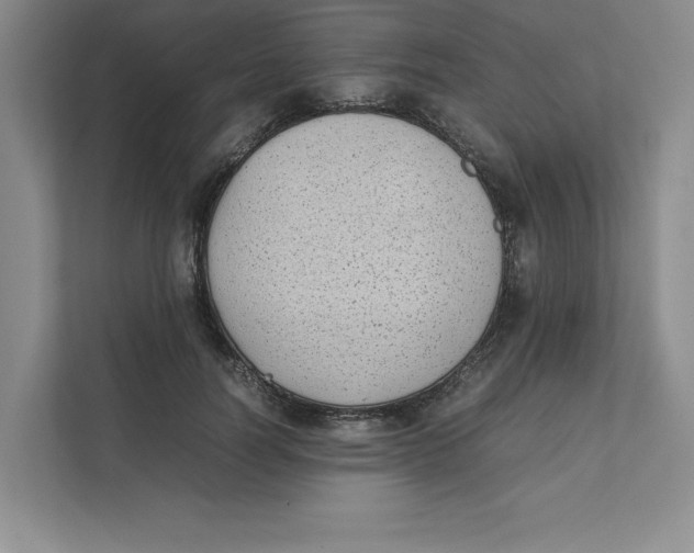 X0000111490746200908041142