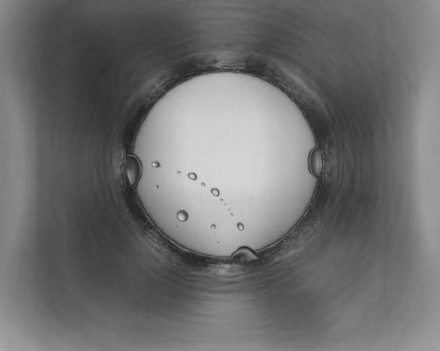X0000111490748200908041142