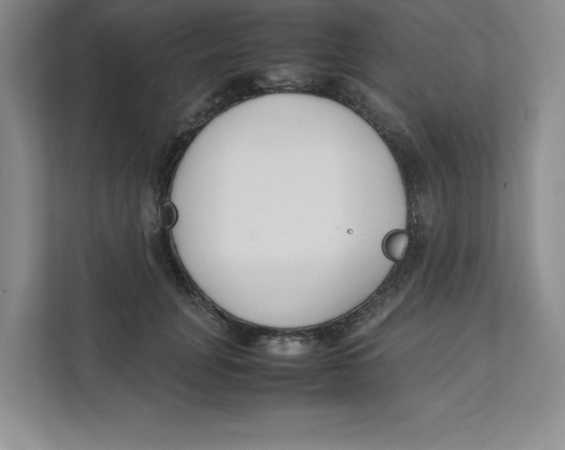X0000111490751200908041142