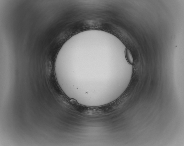 X0000111490752200908041142
