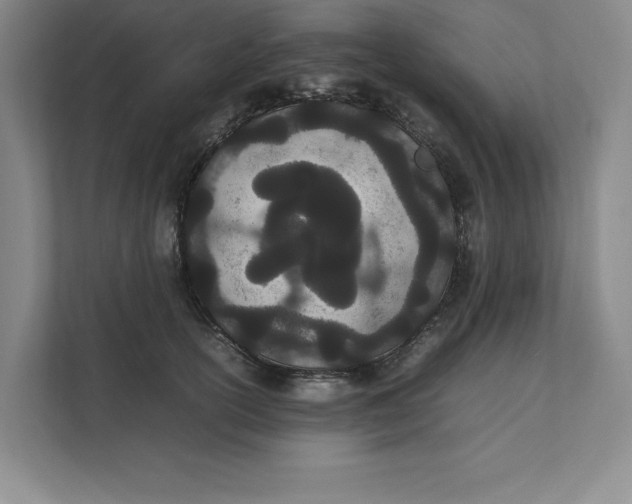 X0000111490754200908041142