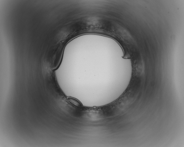 X0000111490756200908041142