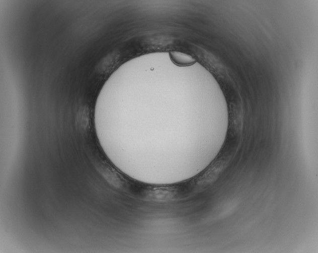 X0000111490758200908041142
