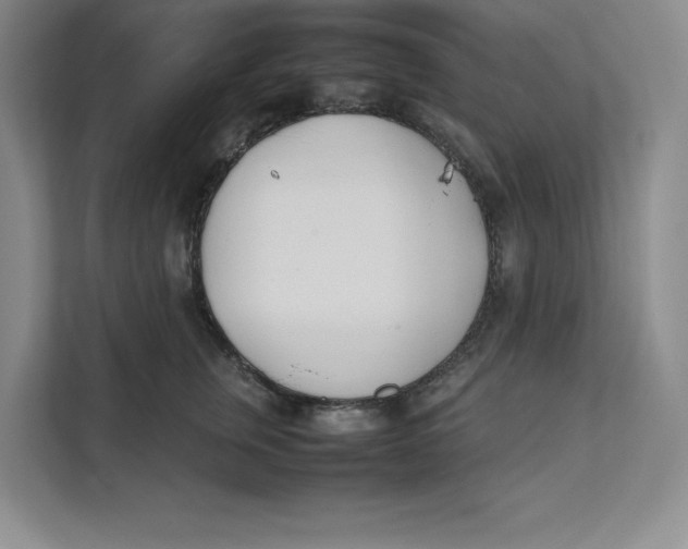 X0000111490759200908041142