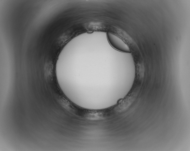 X0000111490760200908041142